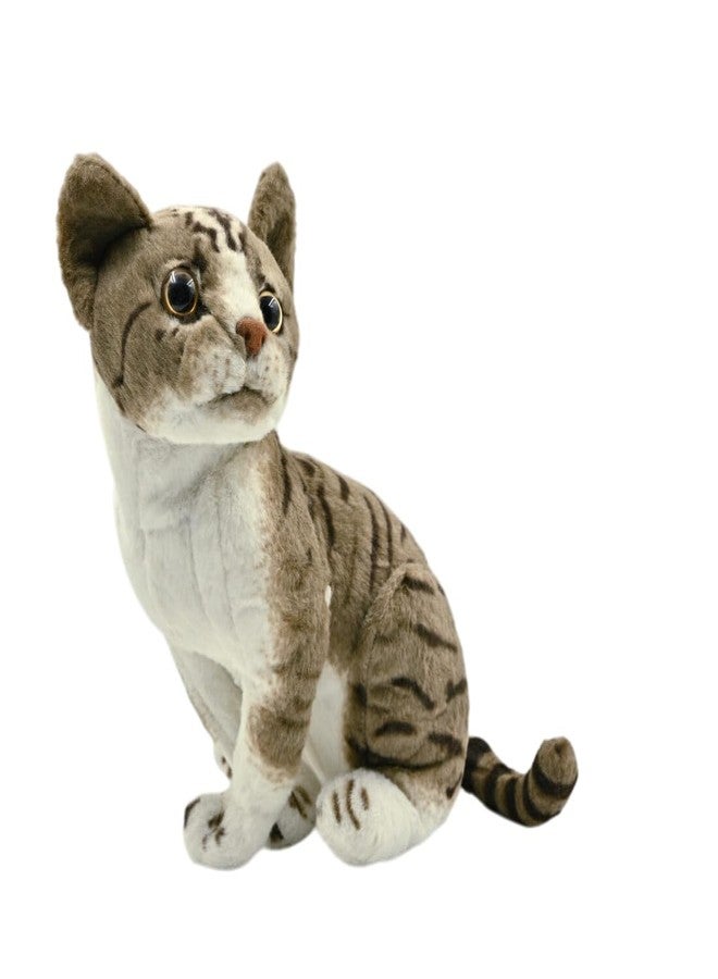 DTR Creation Cat 27 CM Soft Toys for Kids | Plush Soft Toys for Baby Boys and Girls| Best Gift | Cat Soft Toy for Kids -Brown/White 27 Cm Height - Image 4